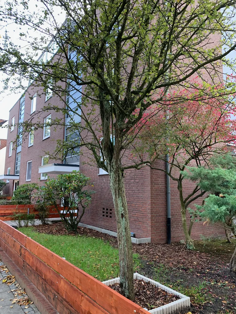 2 Zimmer Wohnung mit 54 m² in Bremen – Bild 5