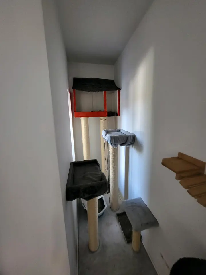 3 Zimmer Wohnung mit 65 m² in Leipzig – Bild 9