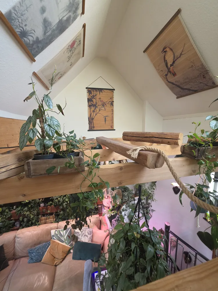 2 Zimmer Wohnung mit 75 m² in Wuppertal – Bild 4