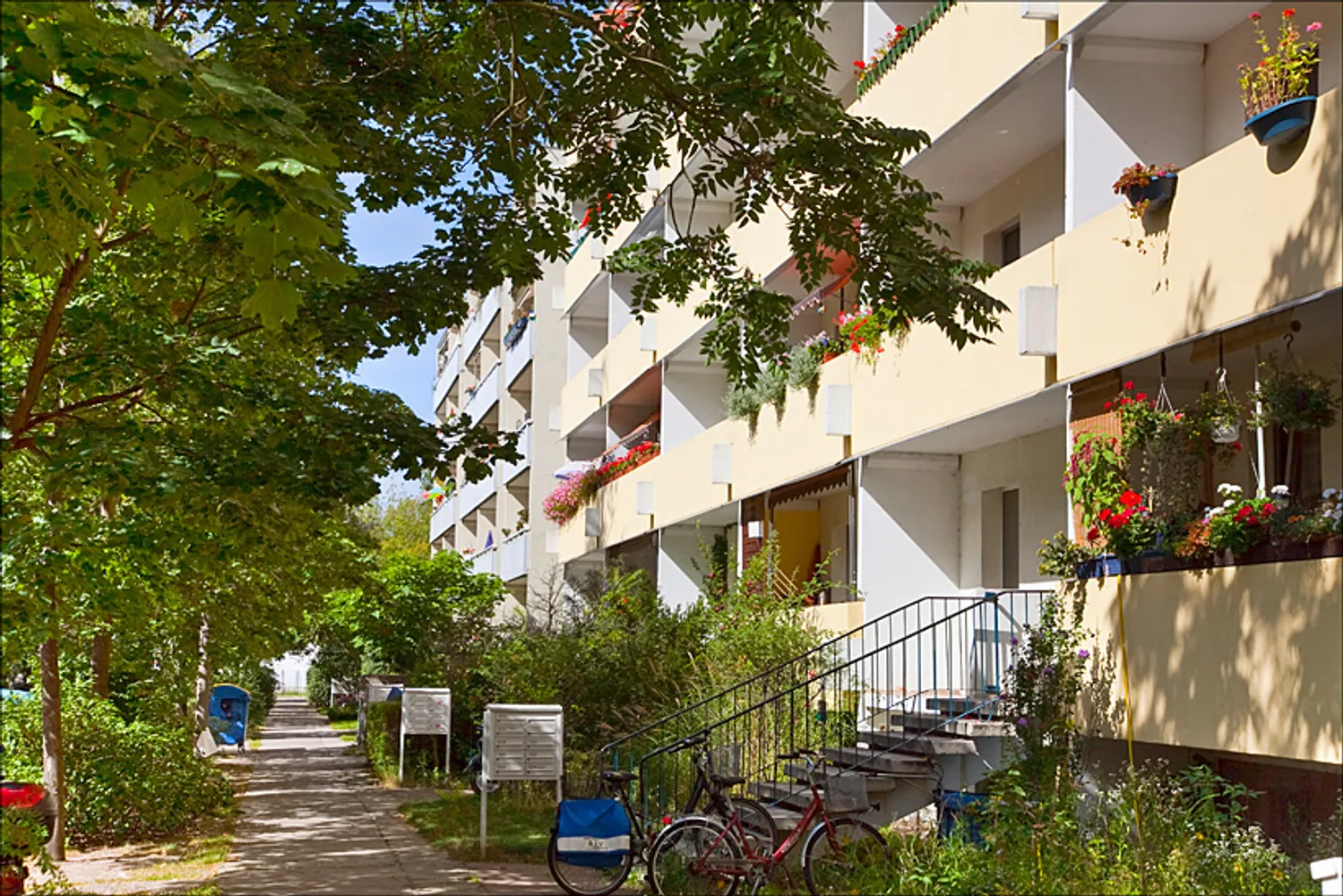4 Zimmer Wohnung mit 85 m² in Potsdam – Bild 1