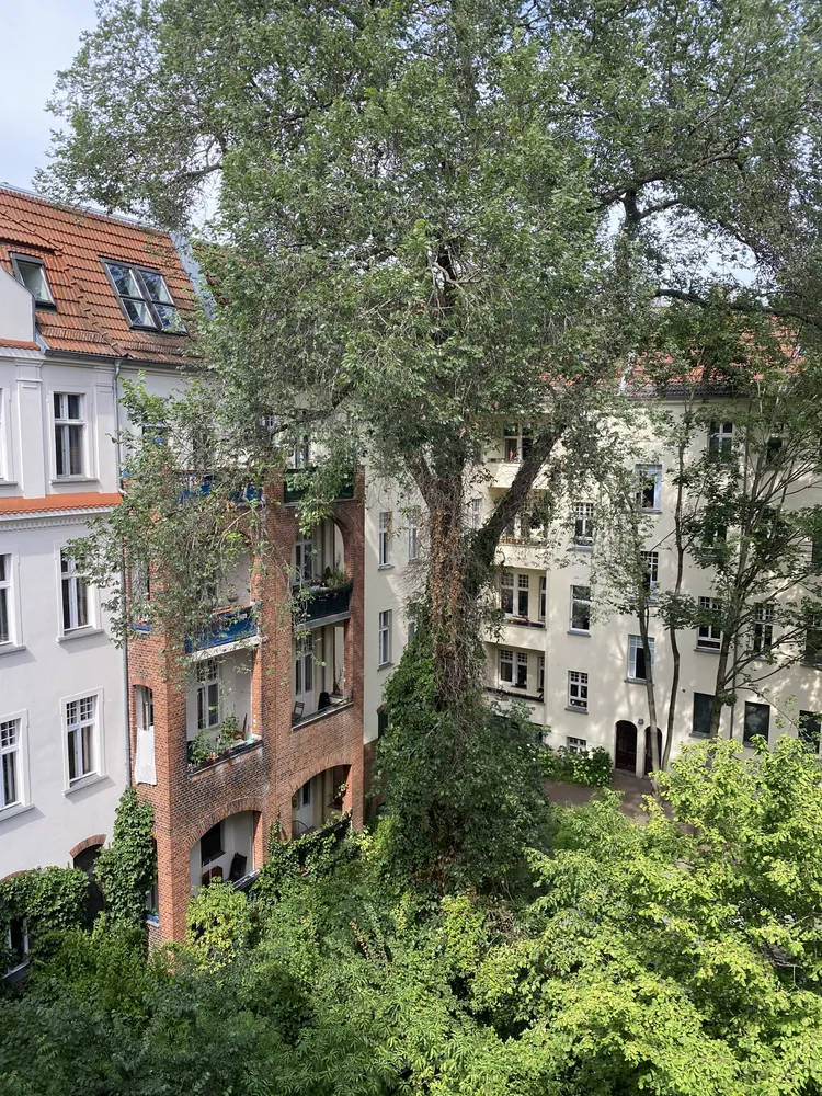 2 Zimmer Wohnung mit 45 m² in Berlin – Bild 7