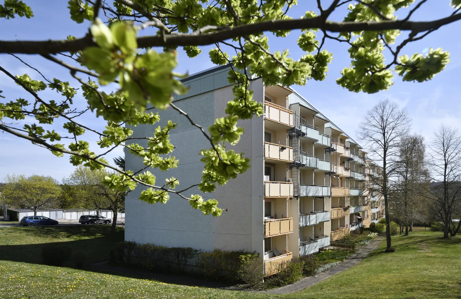 2 room apartment with 51 m² in Gotha – Photo 2