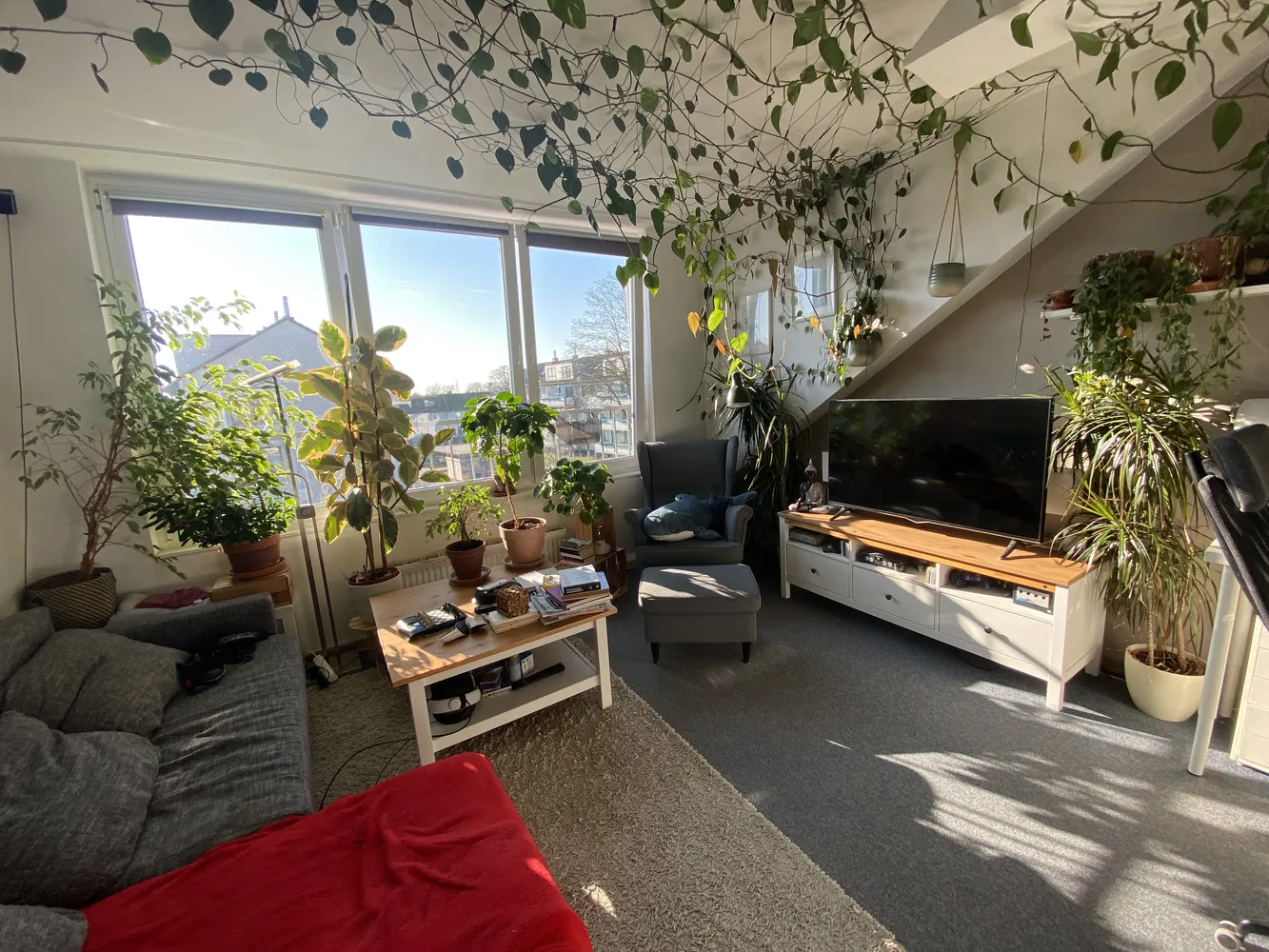 2 room apartment with 50 m² in Dortmund – Photo 1