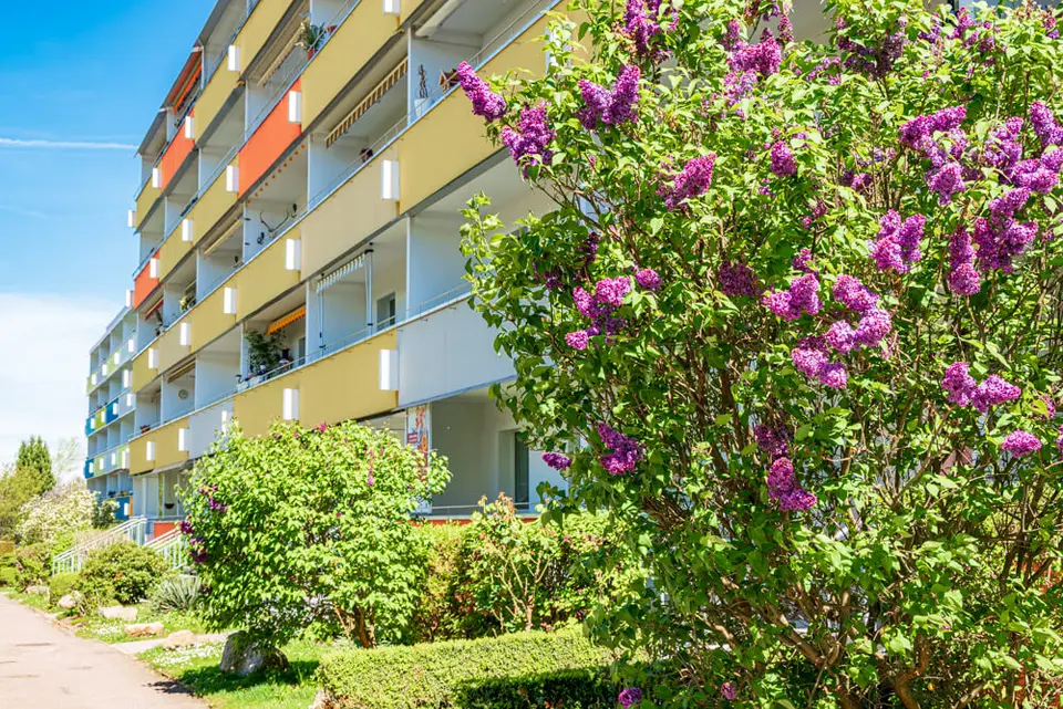 2 Zimmer Wohnung mit 57 m² in Zwickau – Bild 8
