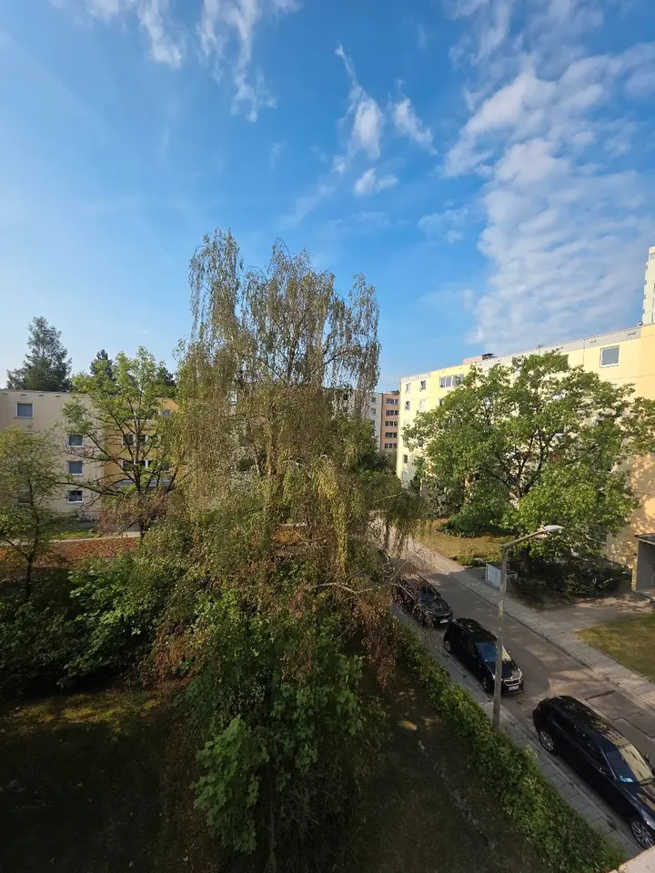 5 Zimmer Wohnung mit 113 m² in Regensburg – Bild 4