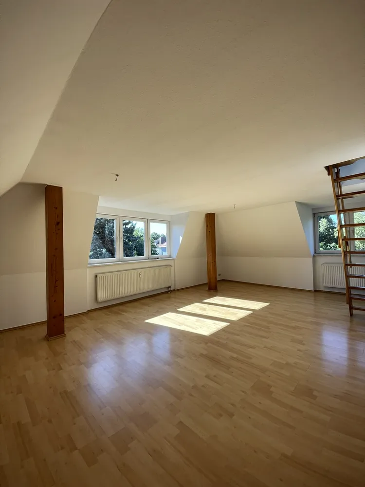 2 Zimmer Wohnung mit 53 m² in Dresden – Bild 1