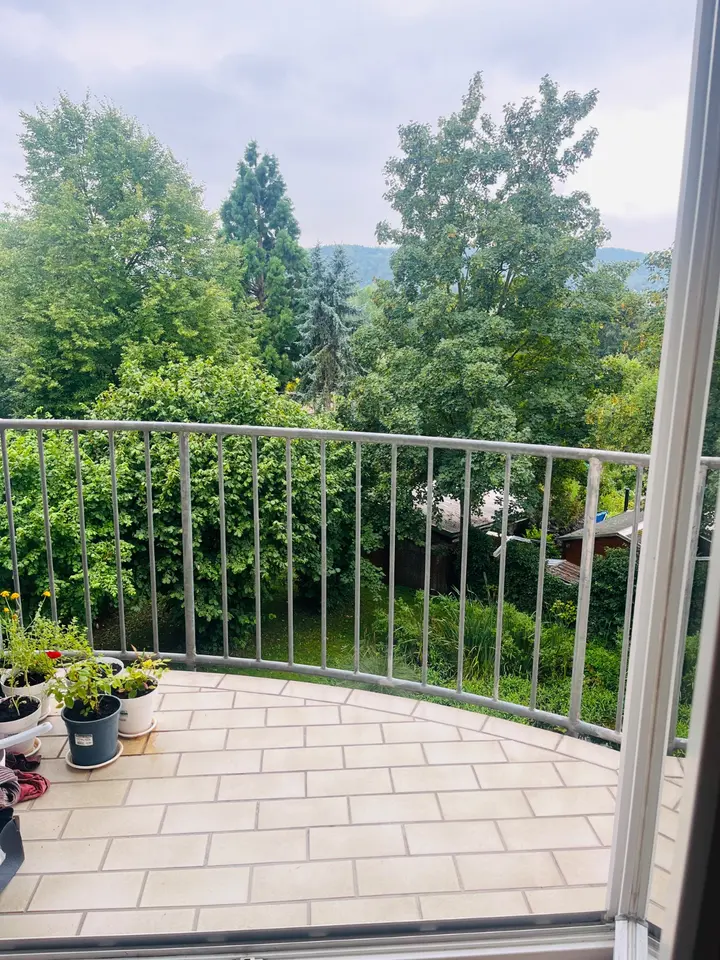 Studio mit 38 m² in Jena – Bild 3