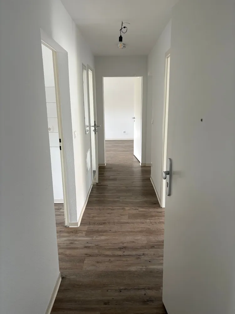 3 Zimmer Wohnung mit 77 m² in Mannheim – Bild 2