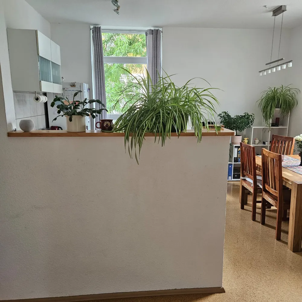 2 Zimmer Wohnung mit 84 m² in Braunschweig – Bild 3