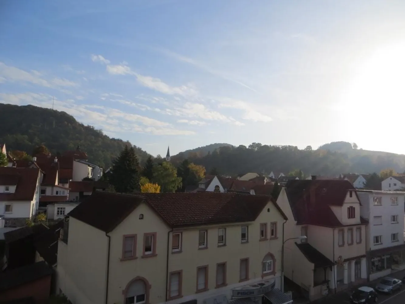 2 Zimmer Wohnung mit 21 m² in Bensheim – Bild 2