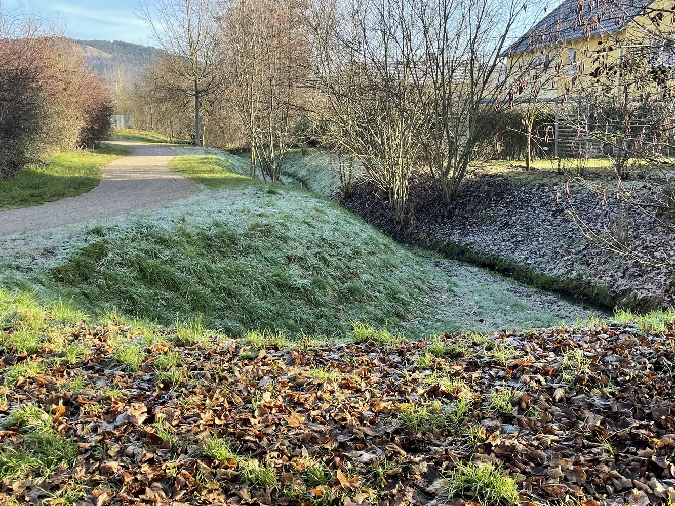2 Zimmer Wohnung mit 34 m² in Jena – Bild 3