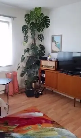 WG-Zimmer mit 40 m² in Frankfurt am Main – Bild 2