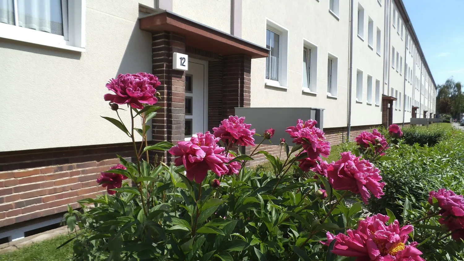 2 Zimmer Wohnung mit 49 m² in Magdeburg – Bild 1