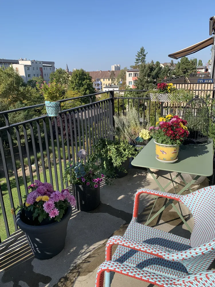 4 Zimmer Wohnung mit 115 m² in Berlin – Bild 3