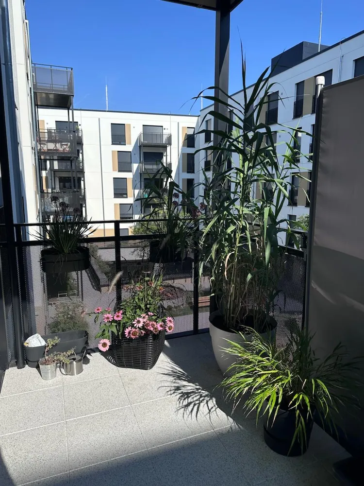 2 Zimmer Wohnung mit 66 m² in Mannheim – Bild 12
