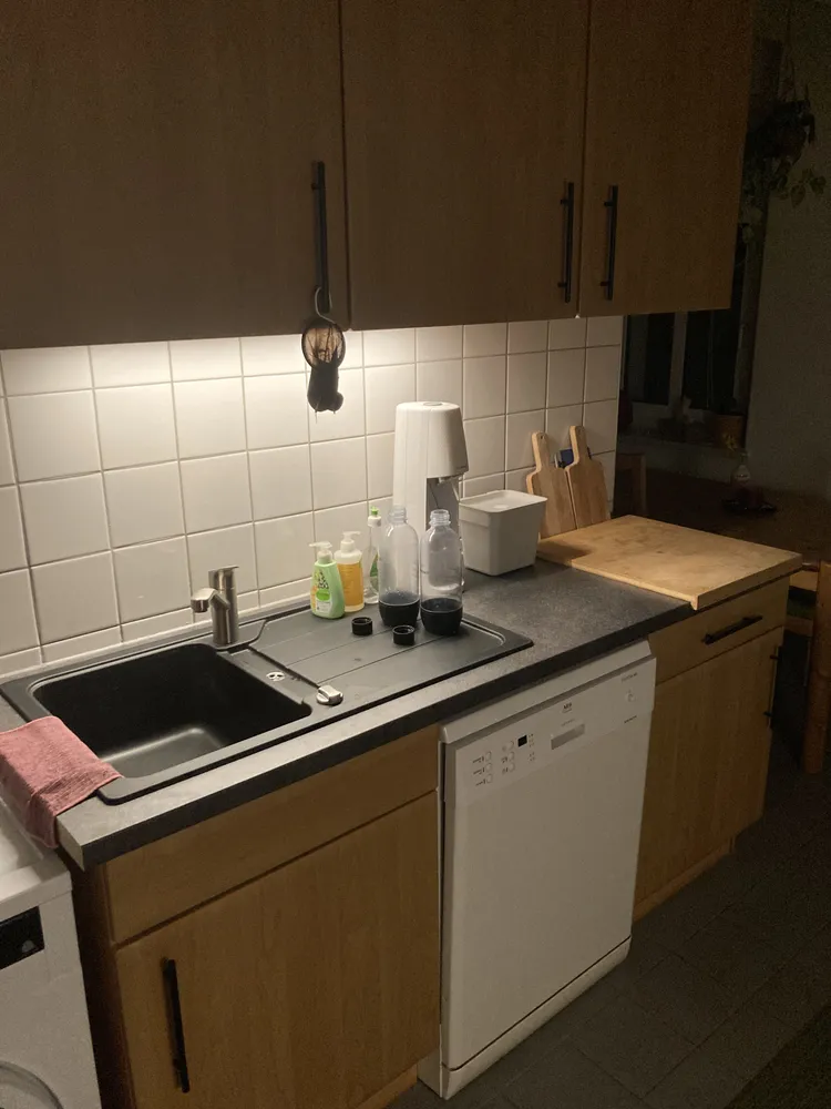 3 Zimmer Wohnung mit 75 m² in Dresden – Bild 3