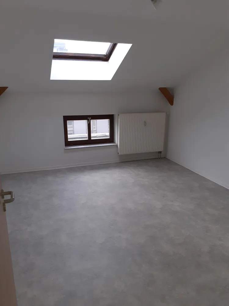2 Zimmer Wohnung mit 48 m² in Halle (Saale) – Bild 9