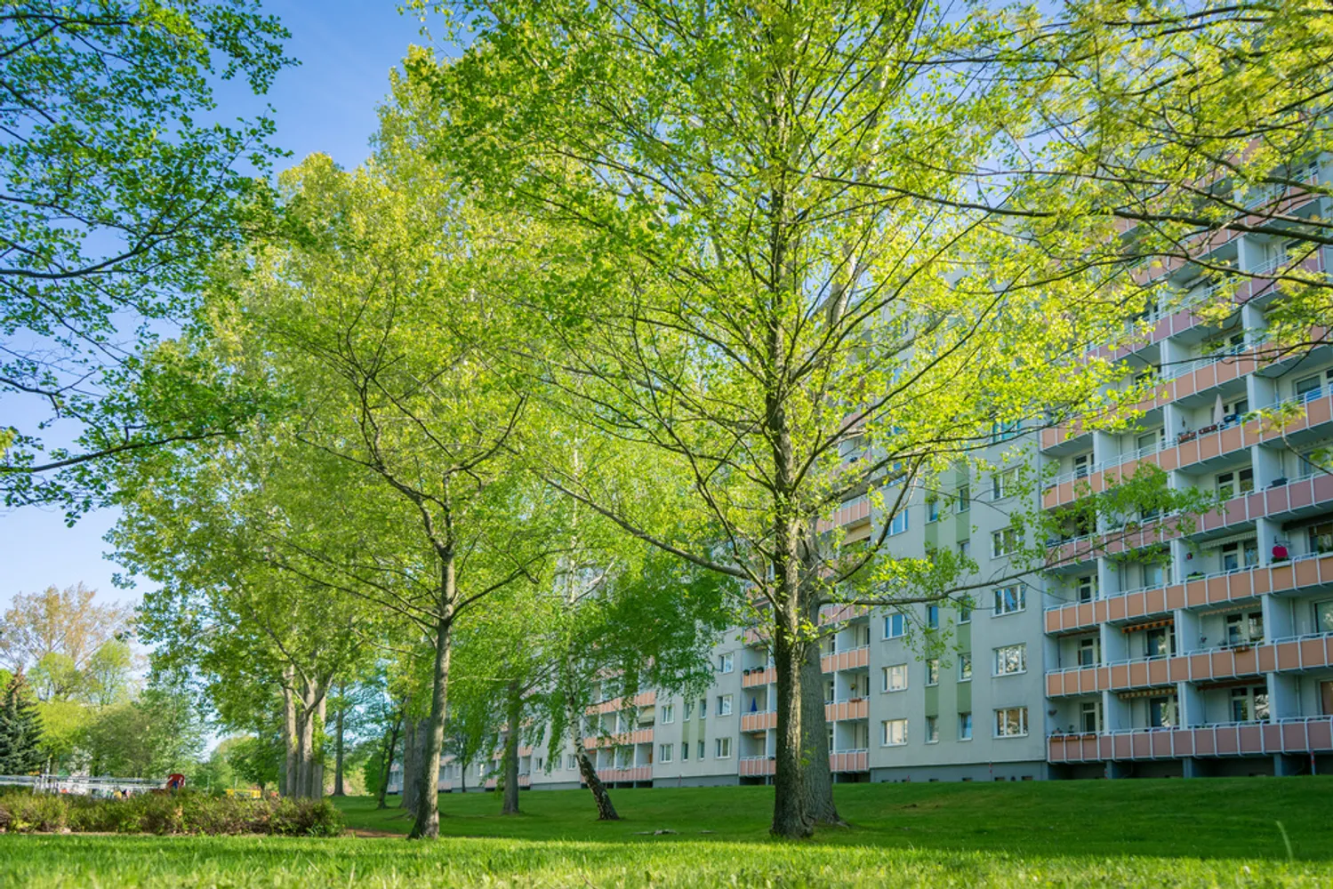 3 room apartment with 70 m² in Chemnitz – Photo 4