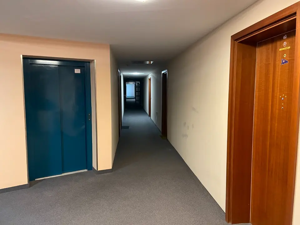 2 Zimmer Wohnung mit 34 m² in Dresden – Bild 8