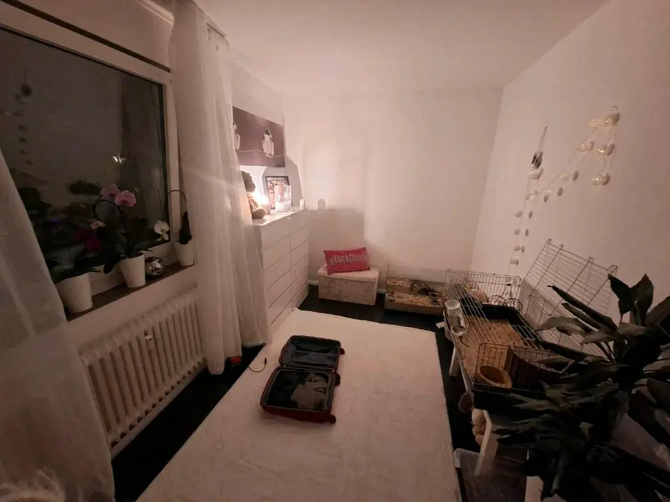3 Zimmer Wohnung mit 65 m² in Kassel – Bild 5