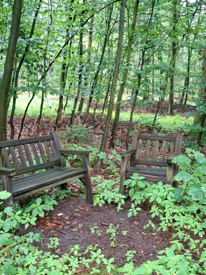 WG-Zimmer mit 120 m² in Rotenburg (Wümme) – Bild 3