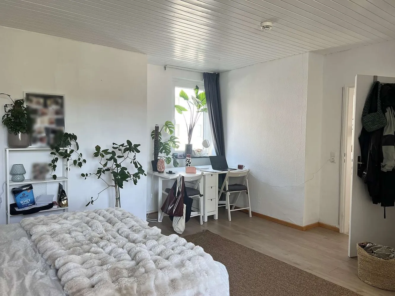 2 room apartment with 60 m² in Kassel – Photo 7