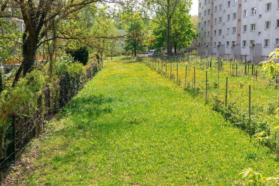 2 Zimmer Wohnung mit 40 m² in Chemnitz – Bild 6