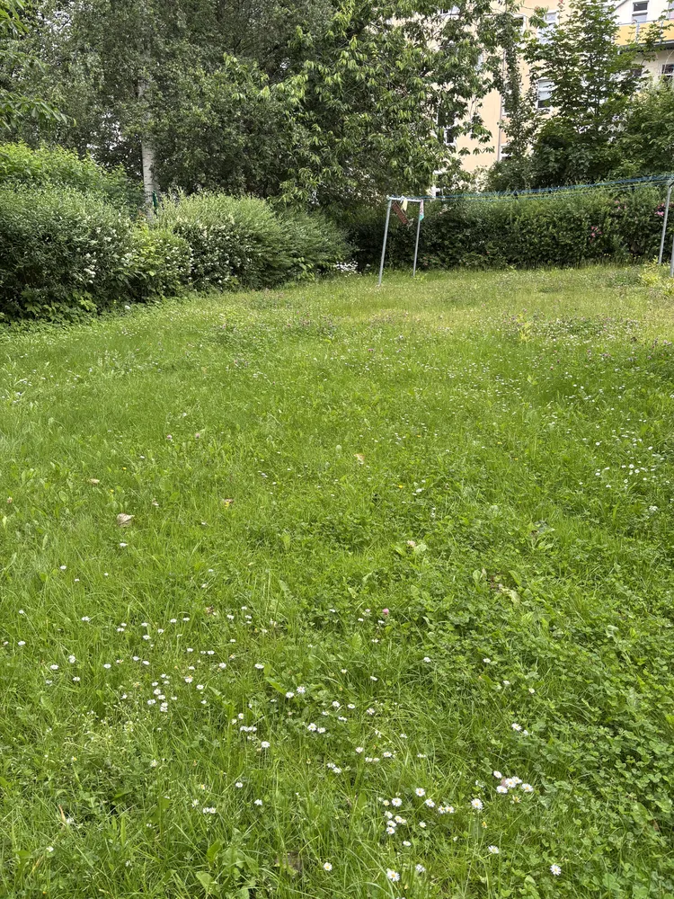 2 room apartment with 61 m² in Chemnitz – Photo 5