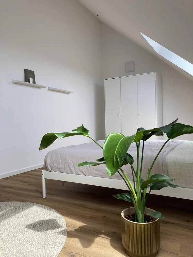 WG-Zimmer mit 17 m² in Augsburg – Bild 3