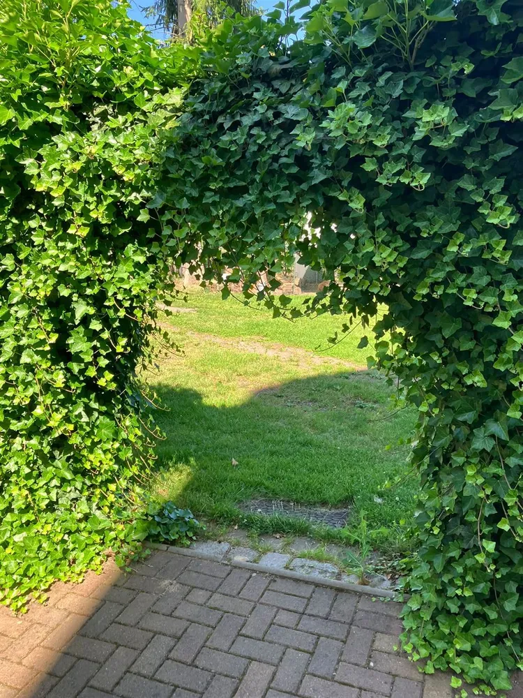 3 Zimmer Wohnung mit 90 m² in Chemnitz – Bild 8