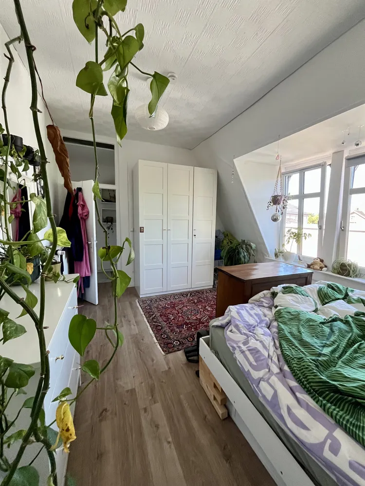3 Zimmer Wohnung mit 80 m² in Gießen – Bild 3
