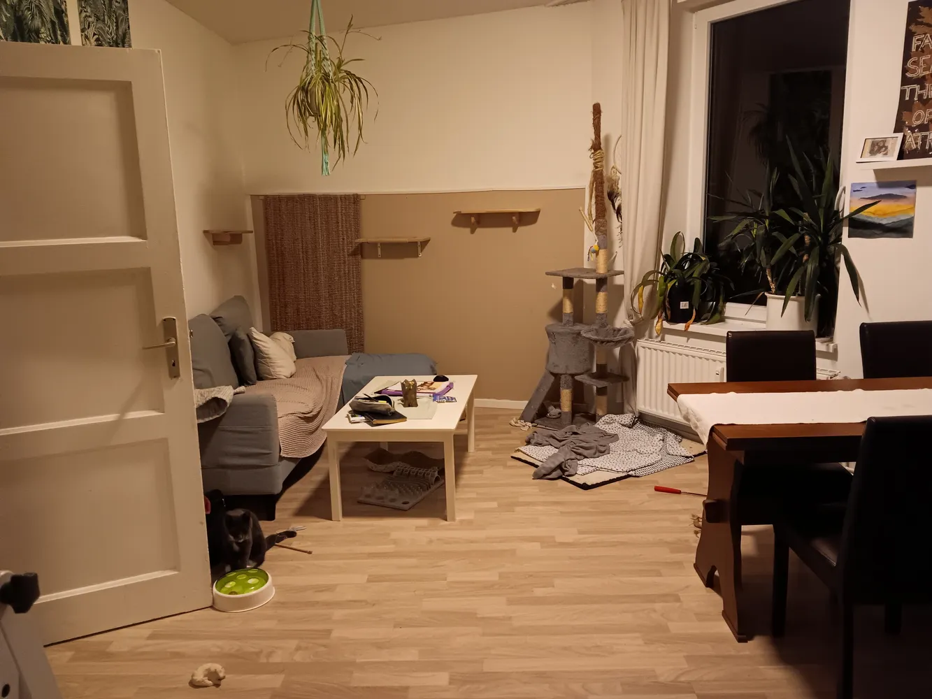 2 Zimmer Wohnung mit 50 m² in Kiel – Bild 1