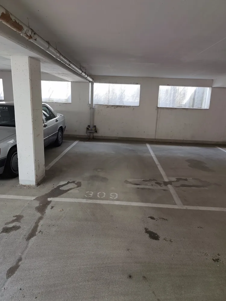 2 Zimmer Wohnung mit 55 m² in Dresden – Bild 3