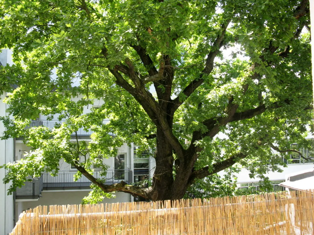 3 Zimmer Wohnung mit 84 m² in Halle (Saale) – Bild 9