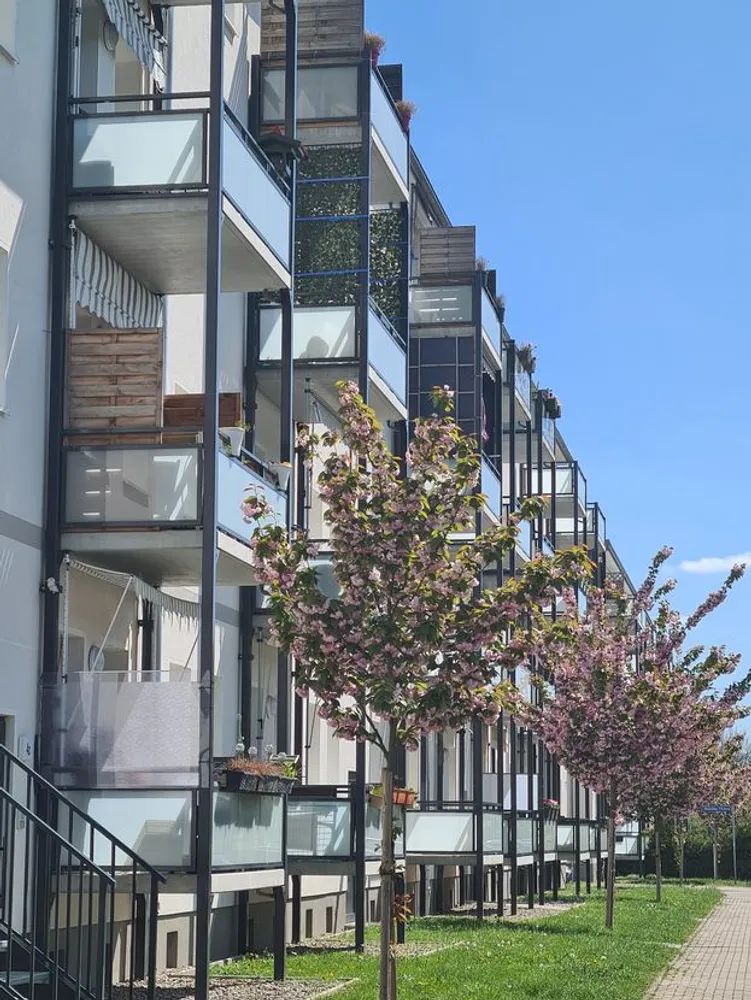 2 Zimmer Wohnung mit 49 m² in Magdeburg – Bild 2