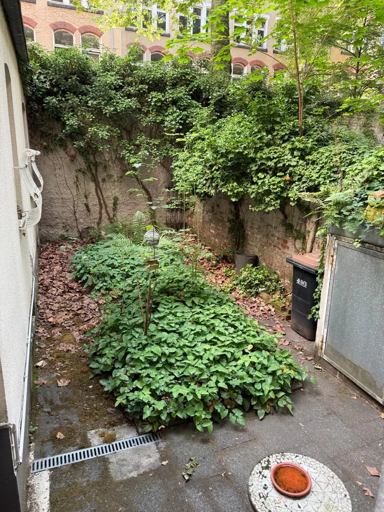 2 Zimmer Wohnung mit 42 m² in Köln – Bild 4