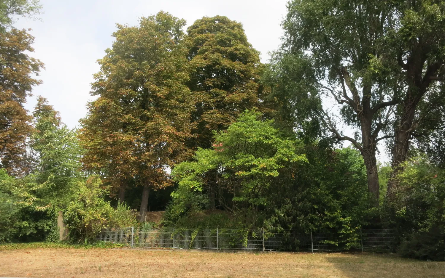 1 Zimmer Wohnung mit 28 m² in Köln – Bild 3
