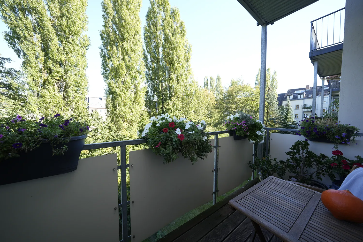 2 Zimmer Wohnung mit 60 m² in Chemnitz – Bild 6
