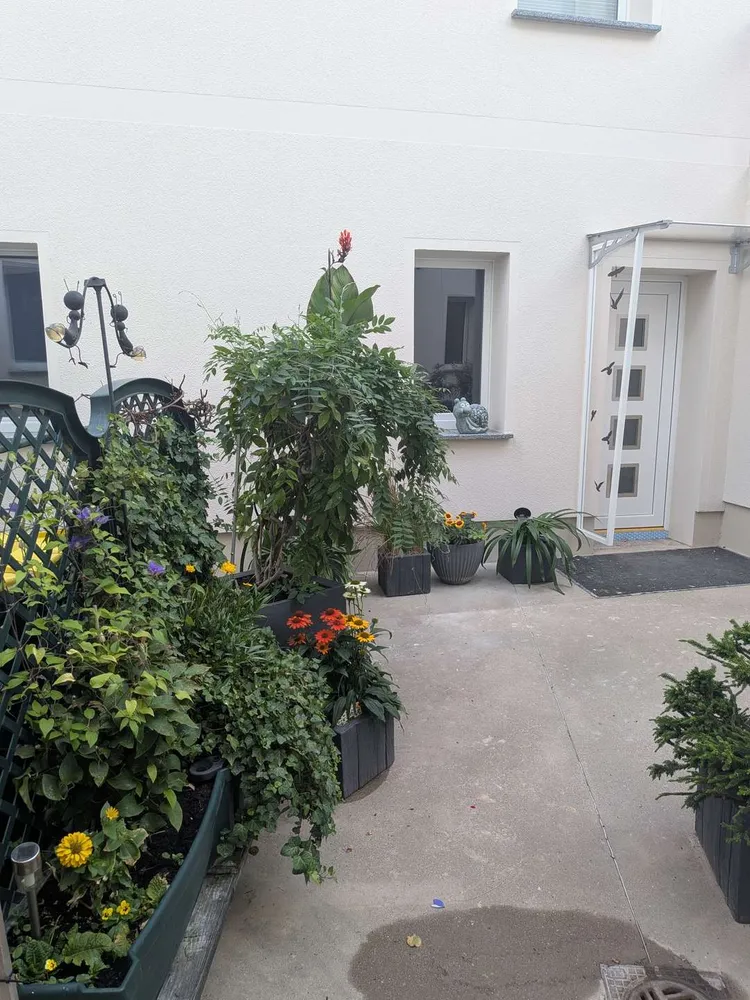 1 room apartment with 36 m² in Halle (Saale) – Photo 2