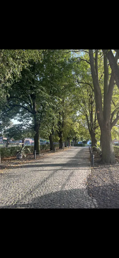 3 Zimmer Wohnung mit 147 m² in Kerpen – Bild 12