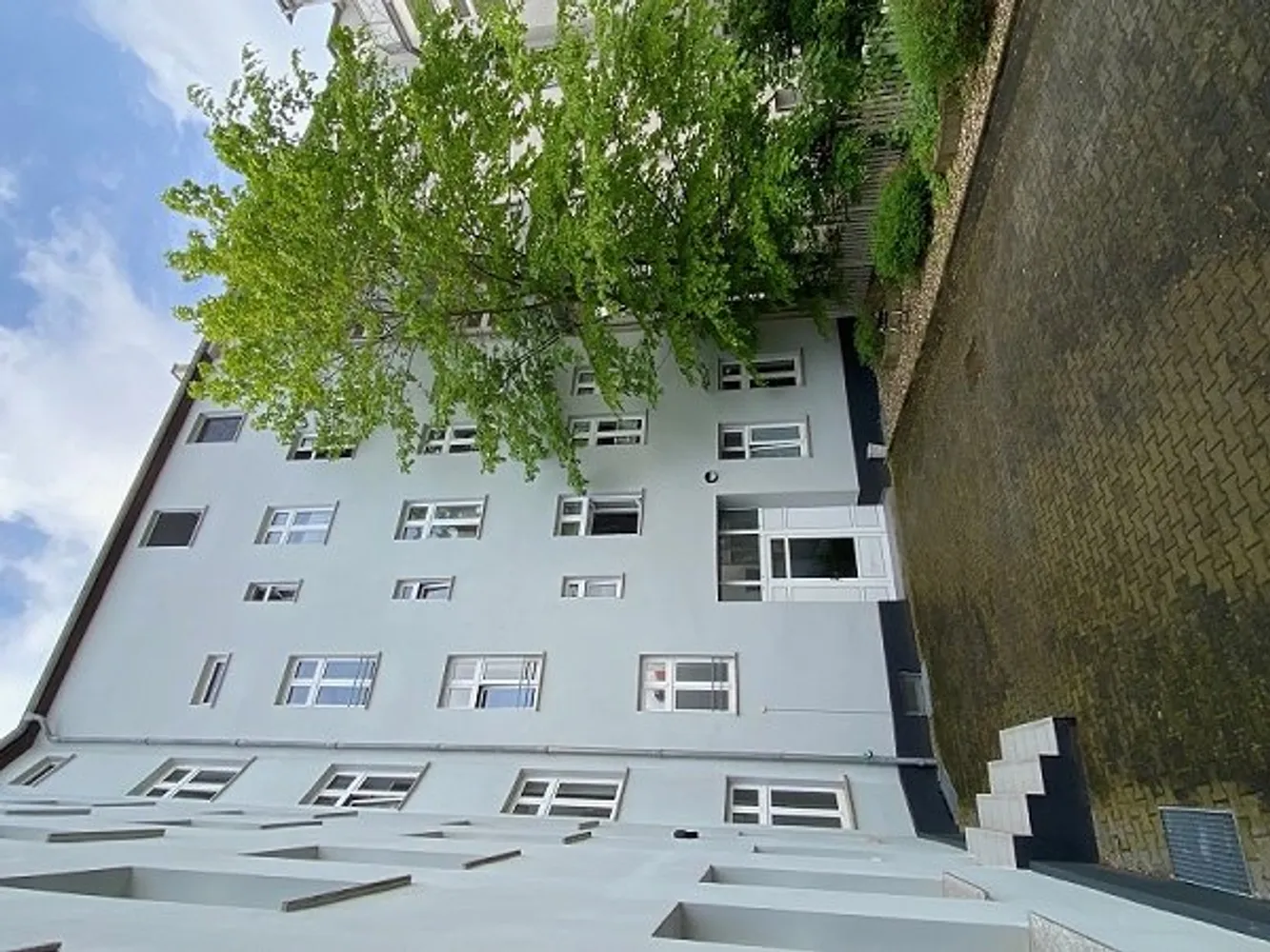 3 room apartment with 65 m² in Magdeburg – Photo 12