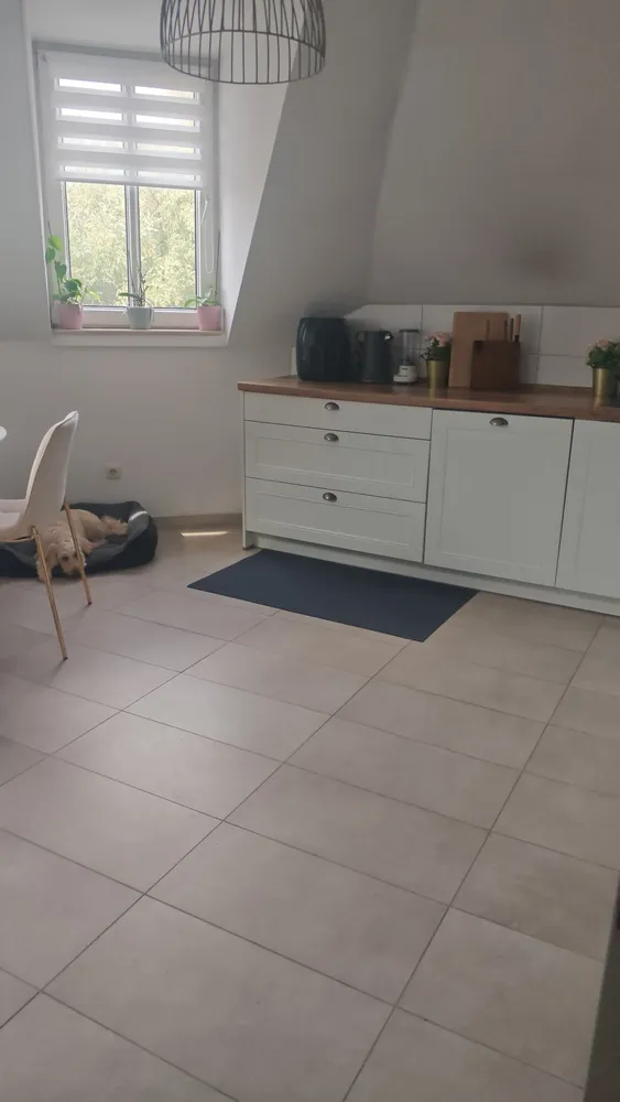 4 Zimmer Wohnung mit 79 m² in Essen – Bild 3