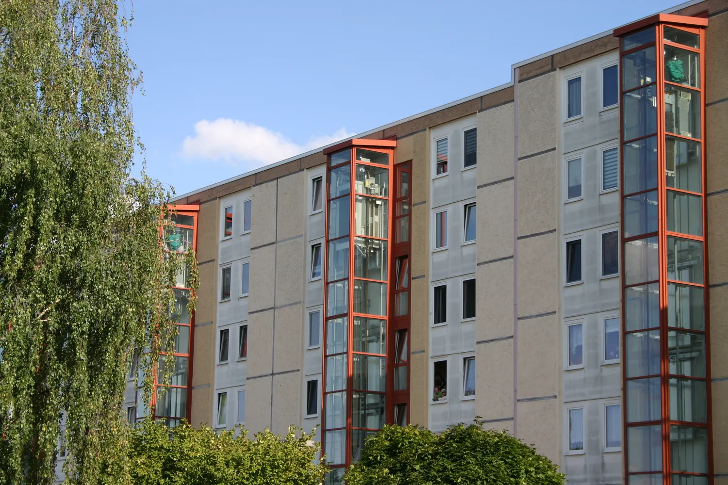 3 room apartment with 60 m² in Zeitz – Photo 4