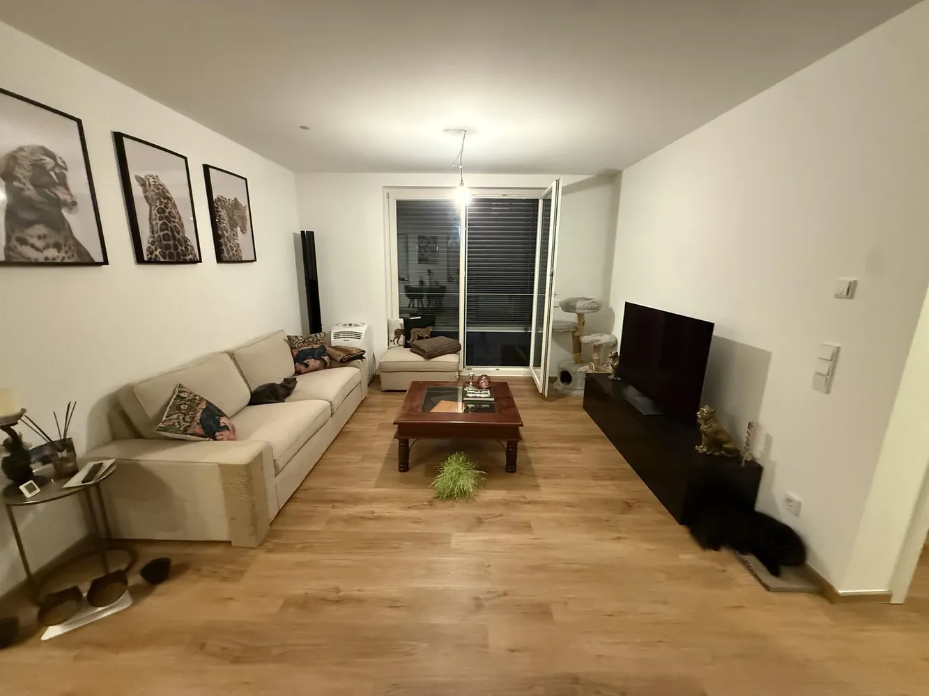 2 room apartment with 55 m² in Wiesbaden – Photo 6