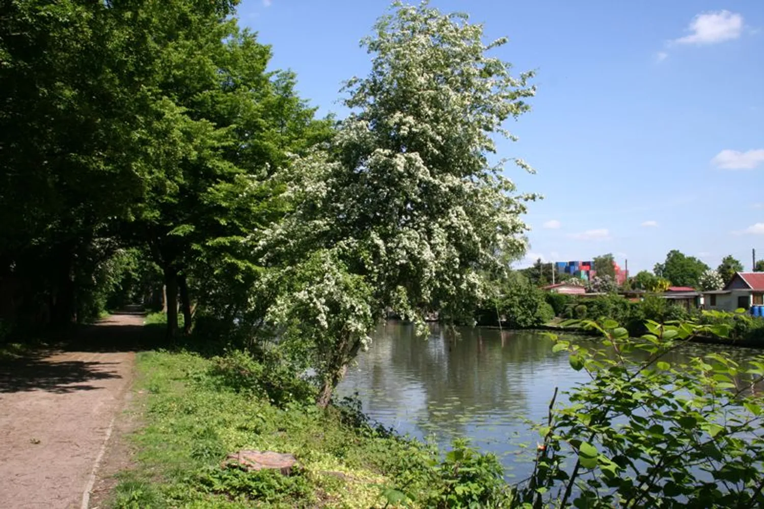 2 Zimmer Wohnung mit 58 m² in Hamburg – Bild 4