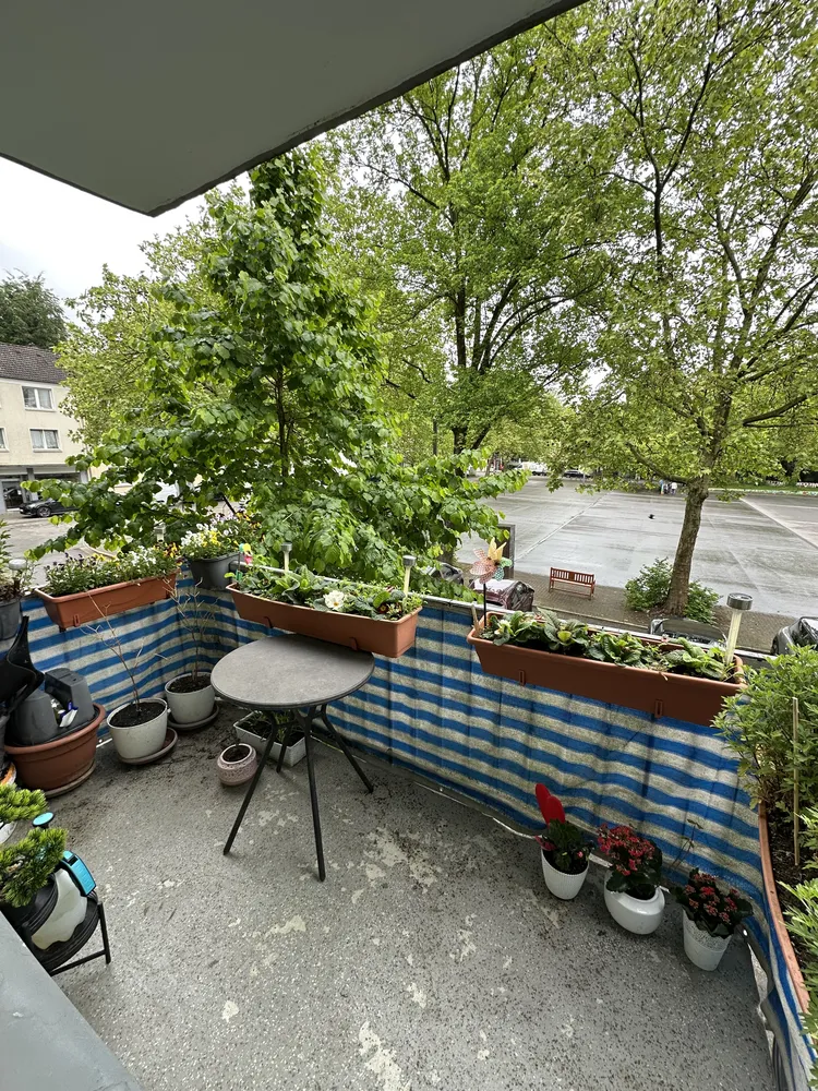 2 Zimmer Wohnung mit 54 m² in Essen – Bild 10