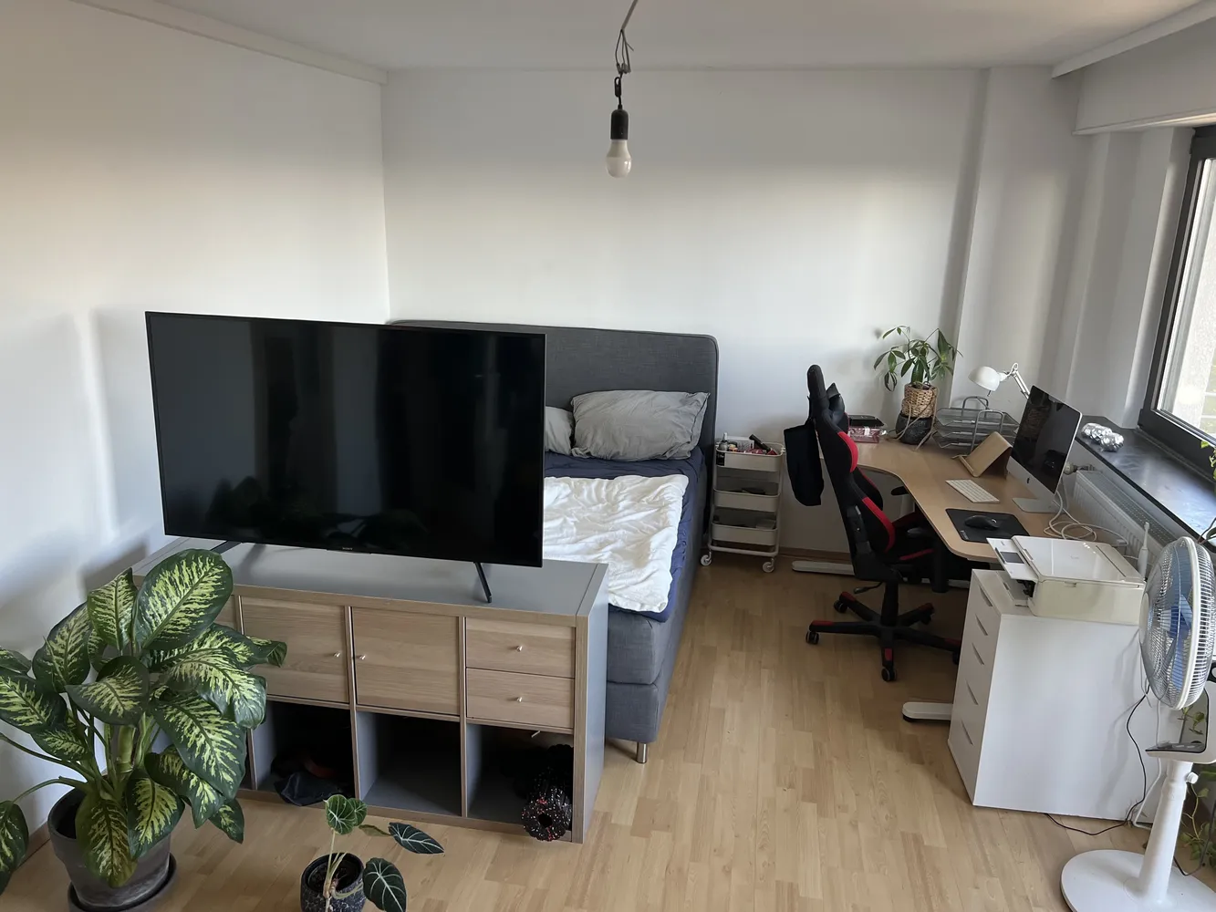 2 Zimmer Wohnung mit 43 m² in Mannheim – Bild 3