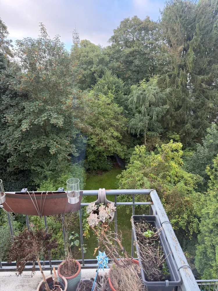 4 Zimmer Wohnung mit 126 m² in Hamburg – Bild 8