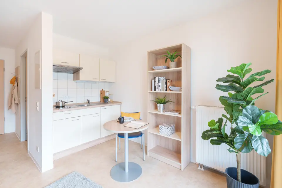 2 Zimmer Wohnung mit 32 m² in Dresden – Bild 4