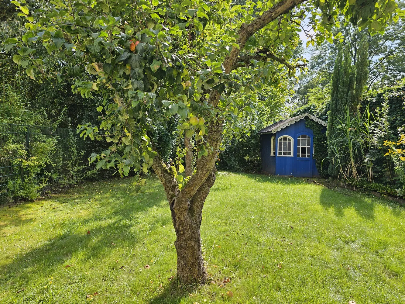 2 Zimmer Wohnung mit 47 m² in Görlitz – Bild 5
